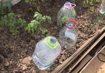 Обогрев теплицы пластиковыми бутылками с водой